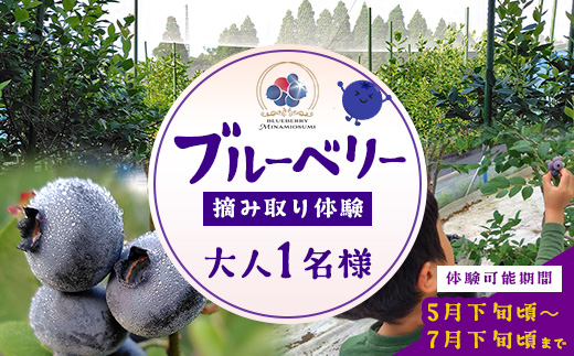 鹿児島県の南国！南大隅町の農園で、ブルーベリー摘み取り体験♪ ブルーベリー摘み取り体験チケット ≪大人1名様分≫ BO-3｜鹿児島県 南大隅町 農園 収穫体験 果物 ブルーベリー チケット 体験 本土最南端
