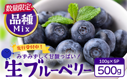 【2027年先行予約】南大隅産 (生)ブルーベリー 品種ミックス詰め合わせ ≪100g×5P≫ BO-1 ｜ ブルーベリー 生 大粒 小分け 旬 産地直送 果物 フルーツ くだもの 新鮮 農園 冷蔵 鹿児島県 南大隅町 本土最南端からお届けします！