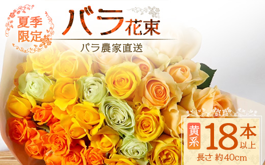 【先行予約・夏季限定 薔薇】ばら農家直送！バラ花束18本以上お届け(黄系)│ローズ 新鮮 花 フラワー 花束 ばら 薔薇 バラ 誕生日 記念日 結婚祝い ギフト プレゼント お祝い 贈り物 贈答 鹿児島県 南大隅町 富田バラ園 TB-3