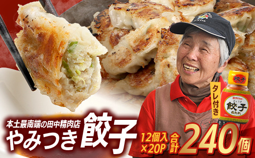 佐多の田中肉屋ニンニクたっぷりやみつき餃子 240個（12個入り×20パック） 餃子のタレ3本付き | ぎょうざ 餃子 ギョウザ にんにく スタミナ餃子 大容量 手作り おかず ビールと一緒に 冷凍 産地直送 鹿児島県 南大隅町 田中精肉店　TA-2