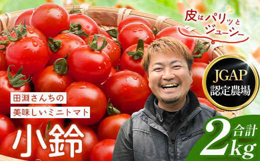 【先行予約・2026年12月より順次発送】田淵さんちの美味しいミニトマト 小鈴約2kg（1.0kg×2箱） GP-709|先行予約 野菜 トマト ミニトマト 産地直送 新鮮 おいしい お弁当 サラダ 南大隅町 鹿児島県 根占グリーンプラネット