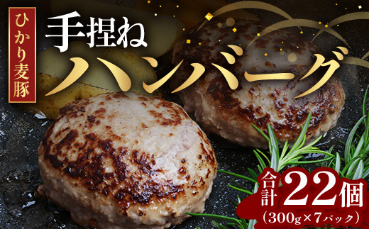 鹿児島県産 ひかり麦豚 手捏ねハンバーグ セット計22個　約2.1kg （ サイズ違い 大中小 ） HM-705| 肉 お肉 にく 豚肉 手ごね 絶品 ハンバーグ 添加物不使用 肉汁 ジューシー おかず お弁当 ロコモコ 冷凍 産地直送 小分け 甘み 鹿児島県 南大隅町 ひかり麦豚直売所