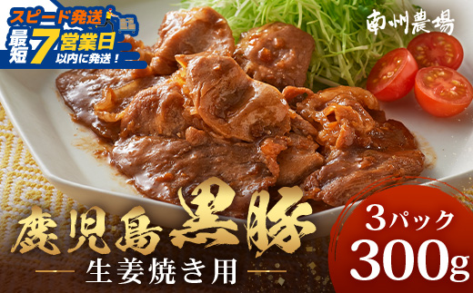 【スピード発送】鹿児島県産 黒豚生姜焼きセット（100g×3パック） 味付き肉 冷凍 NS-21 |最短 7日以内 1週間以内 鹿児島 黒豚 かごしま黒豚 お肉 肉 豚肉 しょうが焼き 焼くだけ 味付き おかず お弁当 加工肉 真空パック 鹿児島県 南大隅町 南州農場