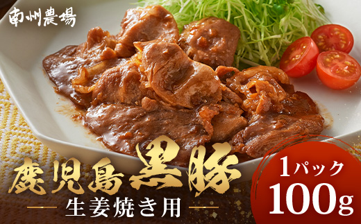 鹿児島県産 黒豚生姜焼き（100g×１パック） 味付き肉 冷凍 NS-20 | 鹿児島 黒豚 かごしま黒豚 お味見 お試し お一人様用 お肉 肉 豚肉 しょうが焼き 焼くだけ 味付き おかず お弁当 加工肉 真空パック 鹿児島県 南大隅町 南州農場