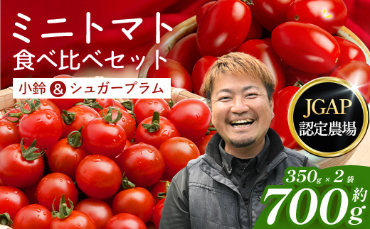 [数量限定]ミニトマト２種食べ比べセット(350g×２種) GP-3｜ミニトマト 野菜 やさい 食品 人気 おすすめ 美味しい 産地直送 小鈴 シュガープラム 食べ比べ セット 鹿児島県 南大隅町 根占グリーンプラネット