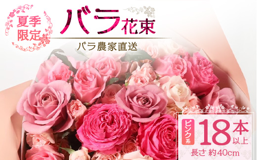 【先行予約・夏季限定 薔薇】ばら農家直送！バラ花束18本以上お届け(ピンク系)【ギフト対応可】│ローズ 新鮮 花 フラワー 花束 ばら 薔薇 バラ 誕生日 記念日 結婚祝い ギフト プレゼント お祝い 贈り物 贈答 鹿児島県 南大隅町 富田バラ園 TB-2