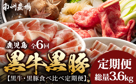  ≪全6回≫ 鹿児島県産 ◆ 黒牛＆黒豚食べ比べ 定期便◆  南州黒牛 かごしま黒豚 NS-28 | 牛 肉 お肉 ブランド牛 黒毛和牛 鹿児島黒豚 黒豚 豚肉 豚 ぶた肉 霜降り サシ ロース しゃぶしゃぶ すき焼き すきやき 甘い やわらかい 冷凍 産地直送 肉定期便 南大隅町