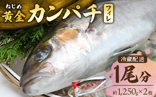 【ねじめ黄金カンパチ】フィレ2枚