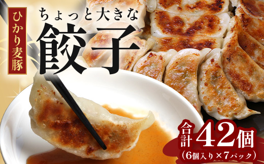 鹿児島県産 ひかり麦豚 ちょっと大きな 餃子 42個 セット | 肉 お肉 にく 豚肉 黒豚 かごしま黒豚 ミンチ 肉汁 ジューシー 食べ応え抜群 焼き餃子 水餃子 おかず お弁当 冷凍 パック 産地直送 鹿児島県 南大隅町 ひかり麦豚直売所 HM-707