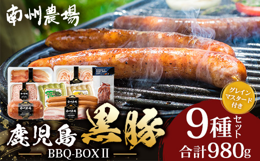 鹿児島県産 BBQ-BOX Ⅱ ハム ソーセージ ベーコン 詰め合わせ セット NS-25| かごしま 黒豚 生ハム ボロニア ウインナー ソース ジャーキー おつまみ バーベキュー 焼き肉 肉 肉汁 香ばしい 低添加製法 冷凍 鹿児島県 南大隅町 南州農場