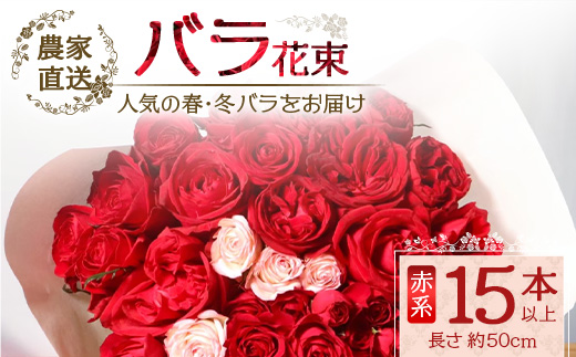 【先行予約】【人気の春・冬ばらをお届け】ばら農家直送！ばら花束15本以上お届け(赤系) 【ギフト対応可】│花 フラワー 花束 ばら 薔薇 バラ 誕生日 記念日 結婚祝い ギフト プレゼント お祝い 贈り物 贈答 鹿児島県 南大隅町 富田バラ園 TB-9
