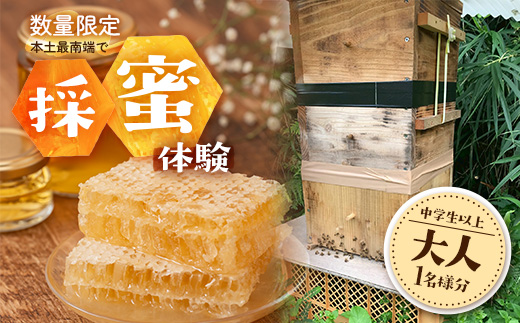 【期間限定】数量限定！『本土最南端で採蜜体験』大人1名（中学生以上）｜はちみつ 採蜜 体験 人気 養蜂 日本みつばち 自然 南大隅町 CC7001