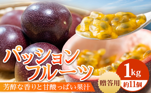 【2026年・先行予約】贈答用パッションフルーツ1kg （約11個） 濱田農園 ｜先行予約 産地直送 新鮮 パッション フルーツ 南大隅町 果物 果実 ギフト プレゼント濱田農園 贈答用 人気 南国フルーツ  HB-706