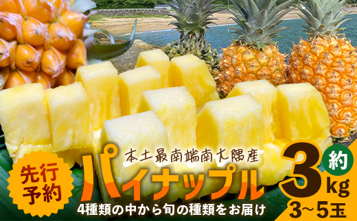 【先行予約・数量限定！】国産パイナップル　約3ｋg（3～5玉）～なか農園おまかせセット～ NK-001｜パイナップル パイン フルーツ 果物 くだもの 先行予約 数量限定 産地直送 新鮮 旬 ハワイ種 ピーチパイン ゴールドダイヤモンド ボゴール なか農園 鹿児島県 南大隅 