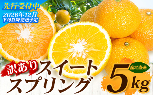 【訳あり】≪先行予約・数量限定≫鹿児島県南大隅産スイートスプリング 約5kg ID-12 ｜訳あり 訳アリ スイートスプリング すいーとすぷりんぐ 柑橘 カンキツ 柑橘類 詰め合わせ 産地直送 おすすめ 人気 鹿児島県 南大隅町