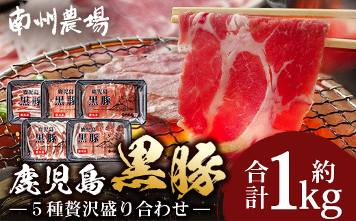 かごしま黒豚５種 贅沢盛り合わせ ( 約1kg ) NS-34 | 豚肉 ぶた セット ５種 冷凍 詰め合わせ 肩ロース ロース バラ もも ももスライス 赤身 脂身 薄切り 部位 焼肉 しゃぶしゃぶ 生姜焼き 家庭料理 炒め物 南大隅町 南州農場