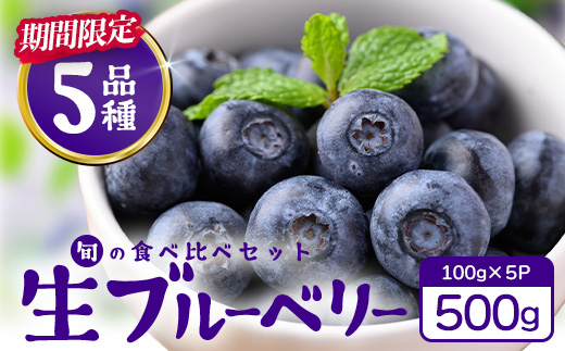 【期間限定】南大隅産 (生) ブルーベリー 食べ比べセット (5品種を1パックずつ) 100g×5P BO-2｜鹿児島県 南大隅町 旬 産地直送 果物 フルーツ くだもの 新鮮 農園 冷蔵 本土最南端