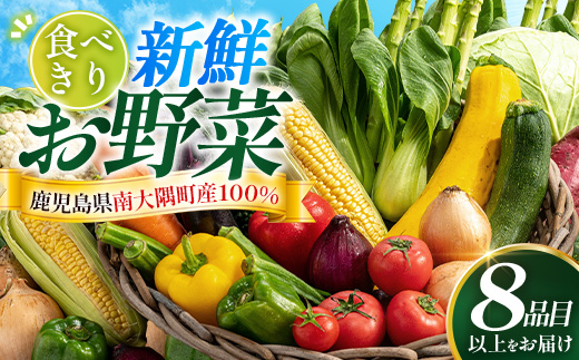 食べきり新鮮お野菜セット 8品目以上 NI-2 ｜ 旬 野菜 やさい 果物 くだもの 産地直送 農産物 冷蔵 鹿児島県 南大隅町産 詰合せ おまかせ 家庭用 なんたん市場