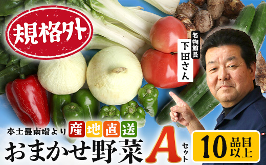 【規格外】本土最南端から 旬のおまかせ野菜セットA 10品目以上 NI-3 ｜ 旬 野菜 やさい 果物 くだもの 産地直送 農産物 冷蔵 鹿児島県 南大隅町産 詰合せ おまかせ 家庭用 訳あり なんたん市場