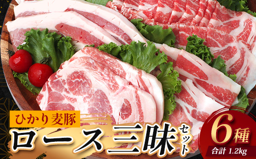鹿児島県産 ひかり麦豚 ロース三昧セット6種類 （200g×6パック）約1.2kg トレーなし 冷凍 HM-12 | 精肉 肉 お肉 にく 豚肉 ロース肉 ロース 肩ロース 真空冷凍 産地直送 新鮮 小分け 産地直送 鹿児島県 南大隅町 ひかり麦豚直売所