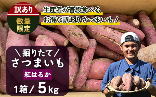 [訳あり！]先行予約【2025年9月下旬より順次発送】訳あり さつまいも 紅はるか 堀りたて5kg ( 1箱 ) 新物