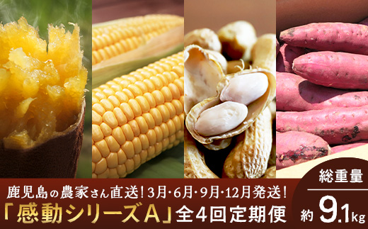 【定期便・年4回】農家の感動シリーズA(約9.1kg) FR-1｜冷凍焼き芋 ゴールドラッシュ とうもろこし 塩茹で 落花生 ピーナッツ 芋 さつまいも 紅はるか 野菜定期便 旬 産地直送 サラダ 南大隅町