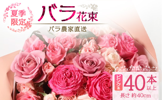 【先行予約・夏季限定 薔薇】ばら農家直送！バラ花束40本以上お届け(ピンク系) 【ギフト対応可】│ローズ 新鮮 花 フラワー 花束 ばら 薔薇 バラ 誕生日 記念日 結婚祝い ギフト プレゼント お祝い 贈り物 贈答 鹿児島県 南大隅町 富田バラ園 TB-6