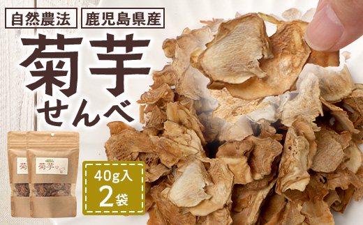白色菊芋 菊芋せんべ （40g×2袋） SK-4｜ せんべい お菓子 菊芋 ノンフライ ノンオイル きくいも 焙煎 おつまみ グルメ お取り寄せ 鹿児島県 南大隅町 島子農園