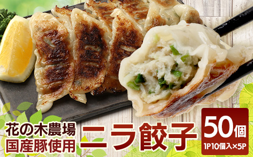 ニラ餃子【5パック】セット