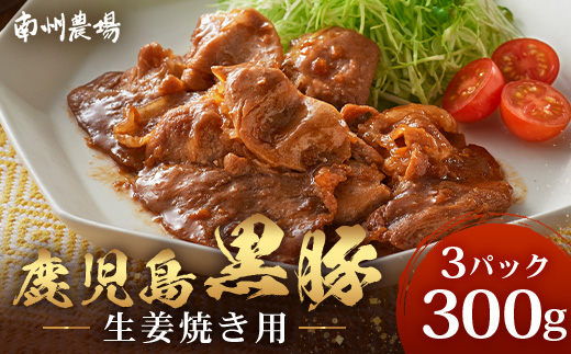 鹿児島県産 黒豚生姜焼きセット 100g×3枚 味付き肉 冷凍 NS-21 | 鹿児島 黒豚 かごしま黒豚 お肉 肉 豚肉 しょうが焼き 焼くだけ 味付き おかず お弁当 加工肉 真空パック 鹿児島県 南大隅町 南州農場
